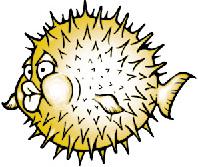 [OpenBSD]